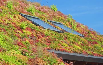 West Bergholt living roof systems