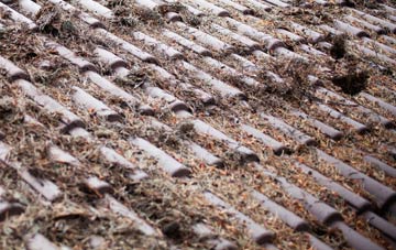 West Bergholt roof cleaning companies